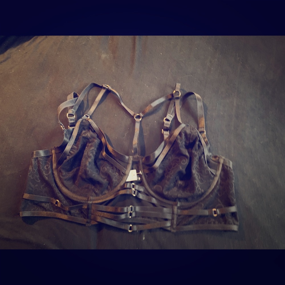 Torrid bralette
